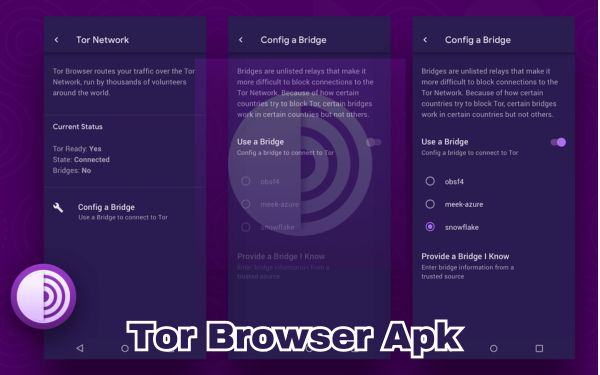 Apa Saja Fitur Menarik Pada Aplikasi Tor Browser Apk Mod Pro