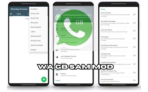 Berbagai Fitur Menarik Yang Tersedia Pada Aplikasi WA GB Sam Mod Apk