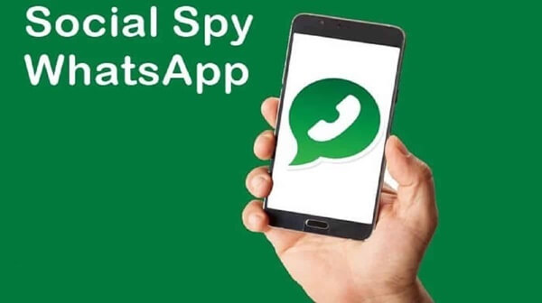 Panduan Memasang Social Spy WA APK Android